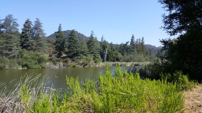 Franklin Canyon Park Lake